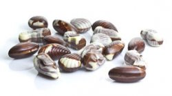 Con Amore Sjöfrukter seashells