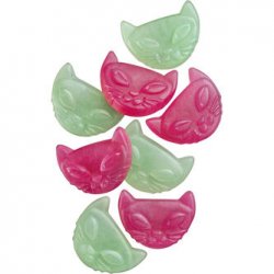 Söta Katten